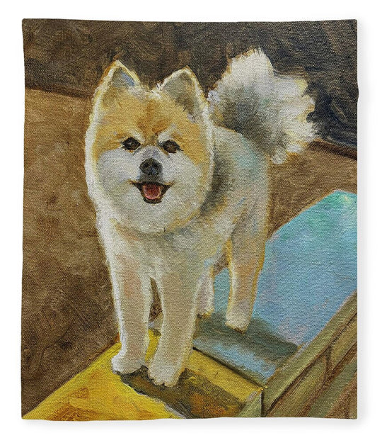 Akita - Blanket