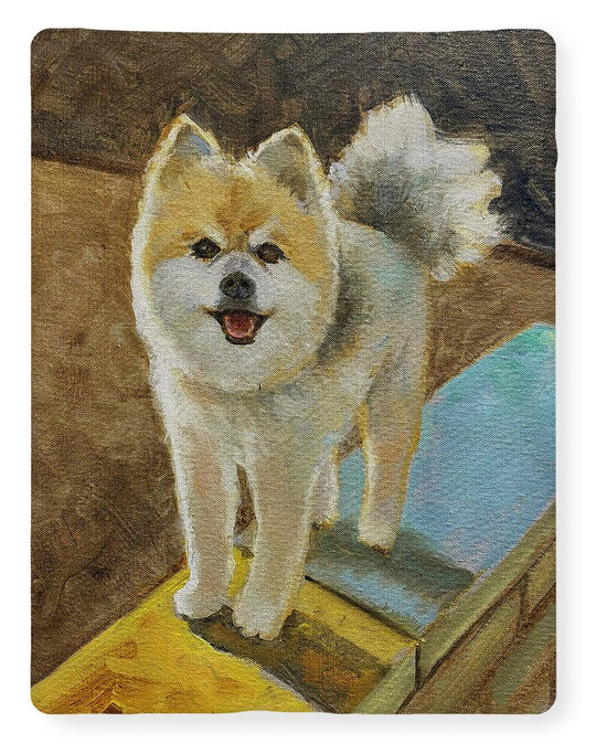 Akita - Blanket