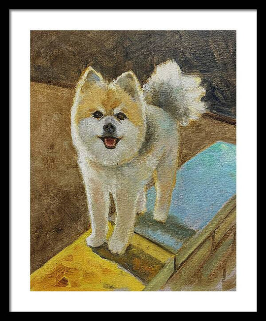Akita - Framed Print