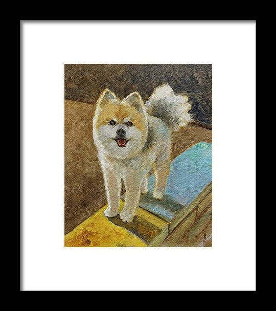 Akita - Framed Print