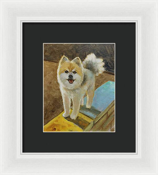 Akita - Framed Print