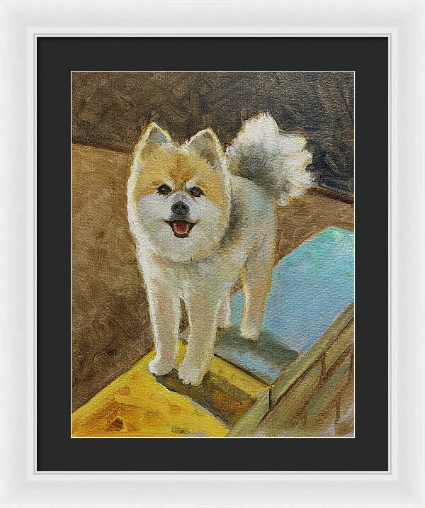 Akita - Framed Print