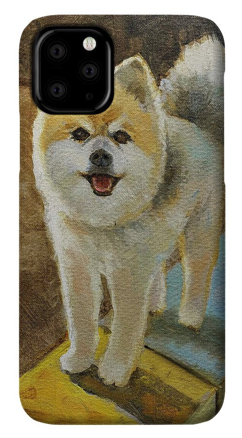 Akita - Phone Case