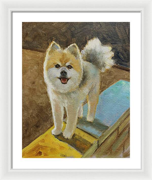 Akita - Framed Print