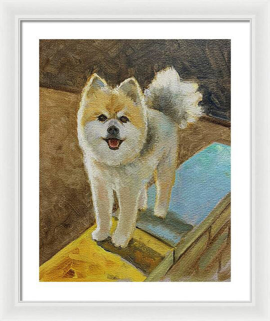 Akita - Framed Print