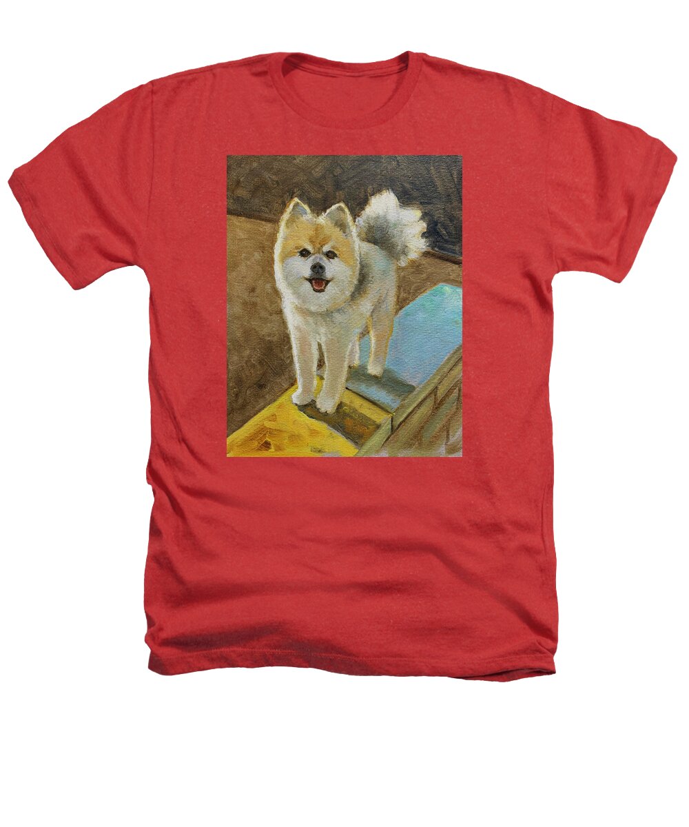 Akita - Heathers T-Shirt