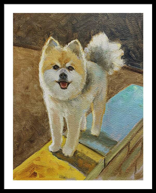 Akita - Framed Print