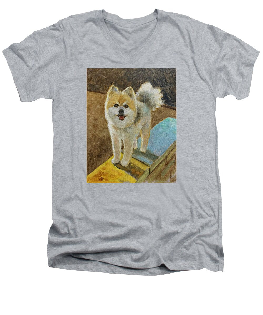 Akita - Men's V-Neck T-Shirt
