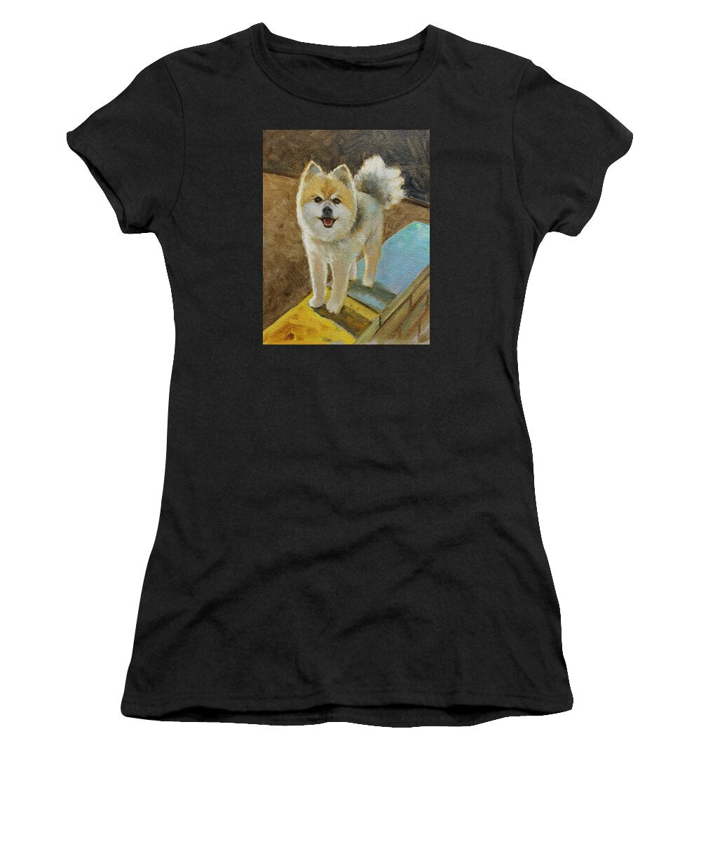Akita - Women's T-Shirt