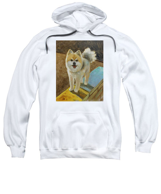 Akita - Sweatshirt