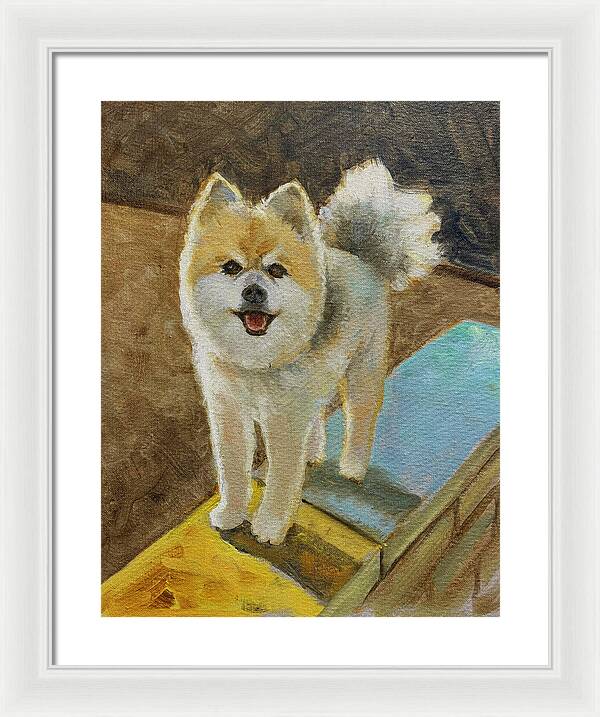 Akita - Framed Print