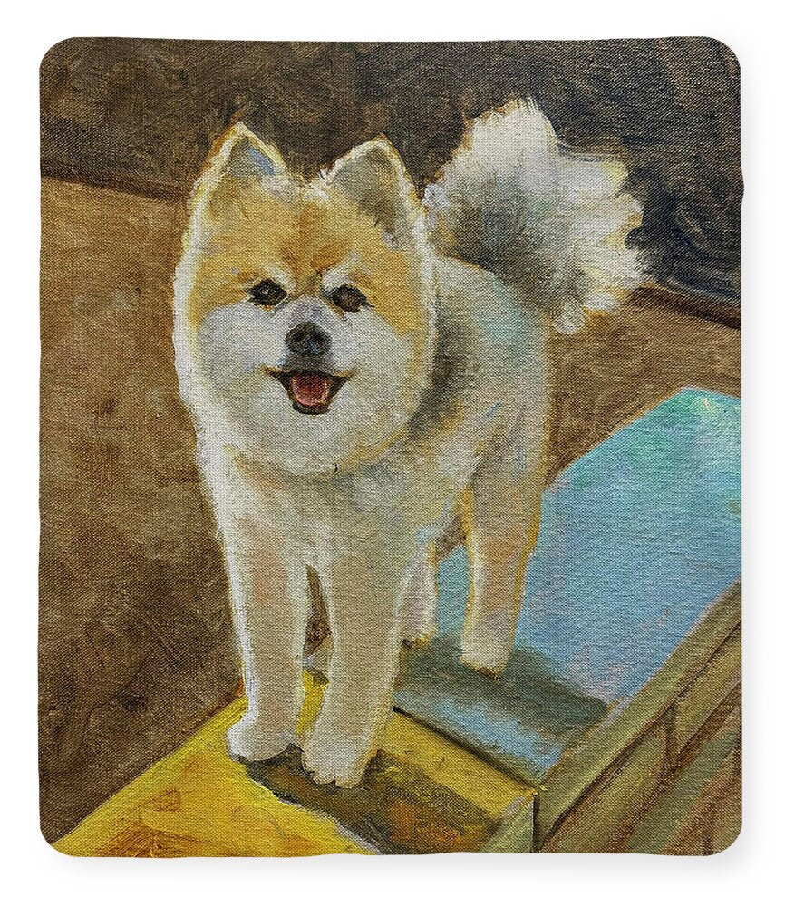 Akita - Blanket