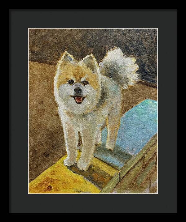 Akita - Framed Print