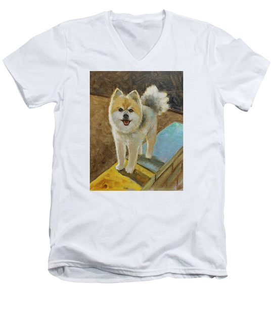 Akita - Men's V-Neck T-Shirt