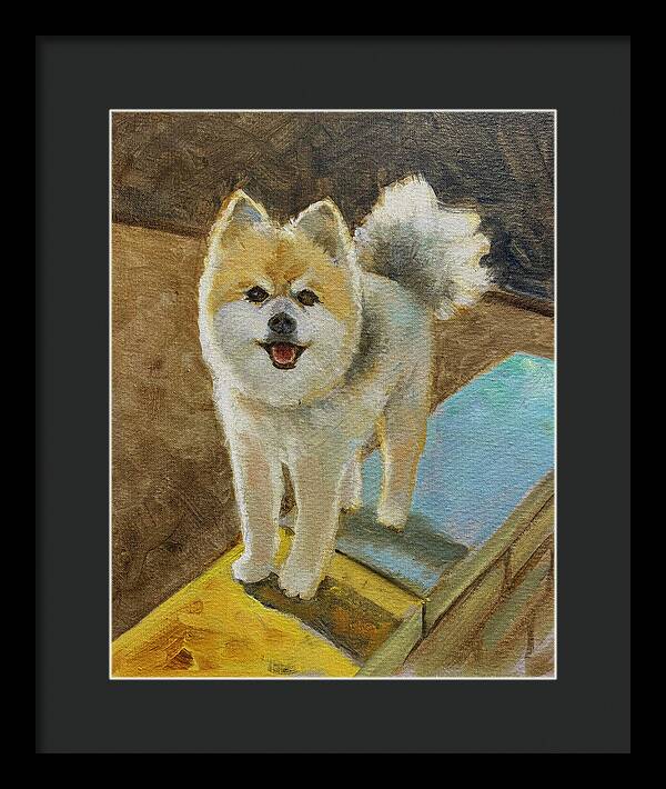 Akita - Framed Print