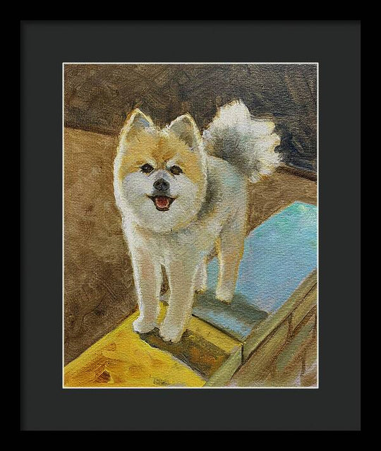 Akita - Framed Print
