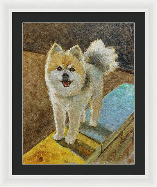 Akita - Framed Print