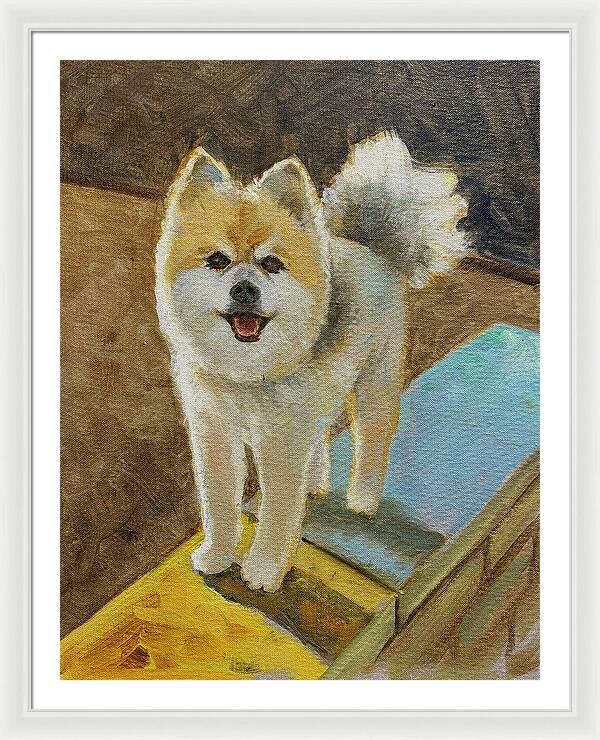 Akita - Framed Print