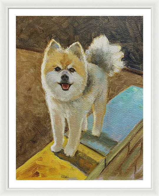 Akita - Framed Print