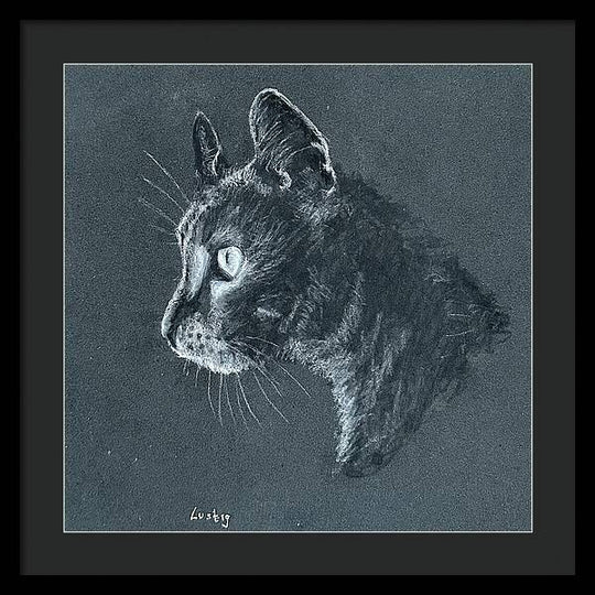 Ash - Framed Print