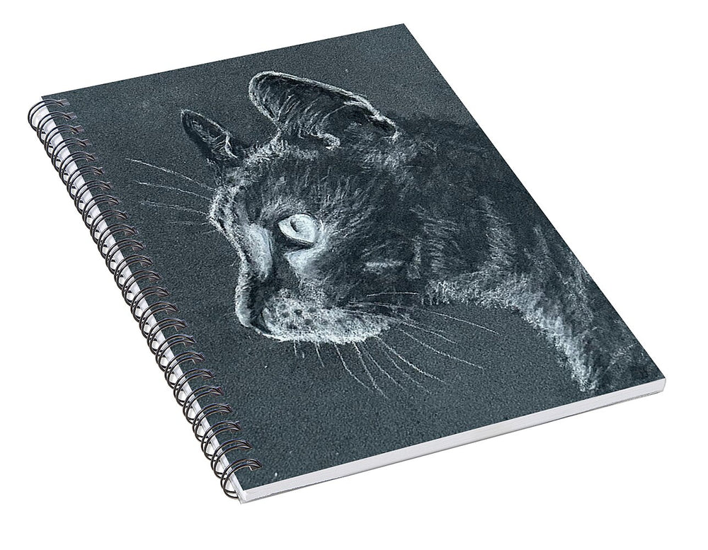 Ash - Spiral Notebook