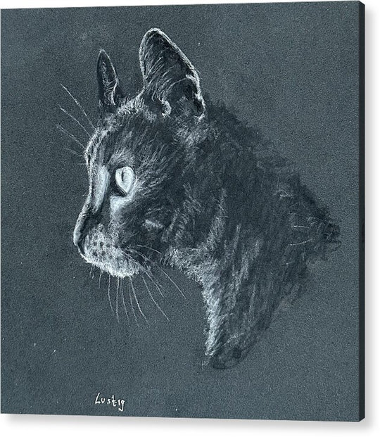 Ash - Acrylic Print