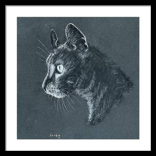 Ash - Framed Print