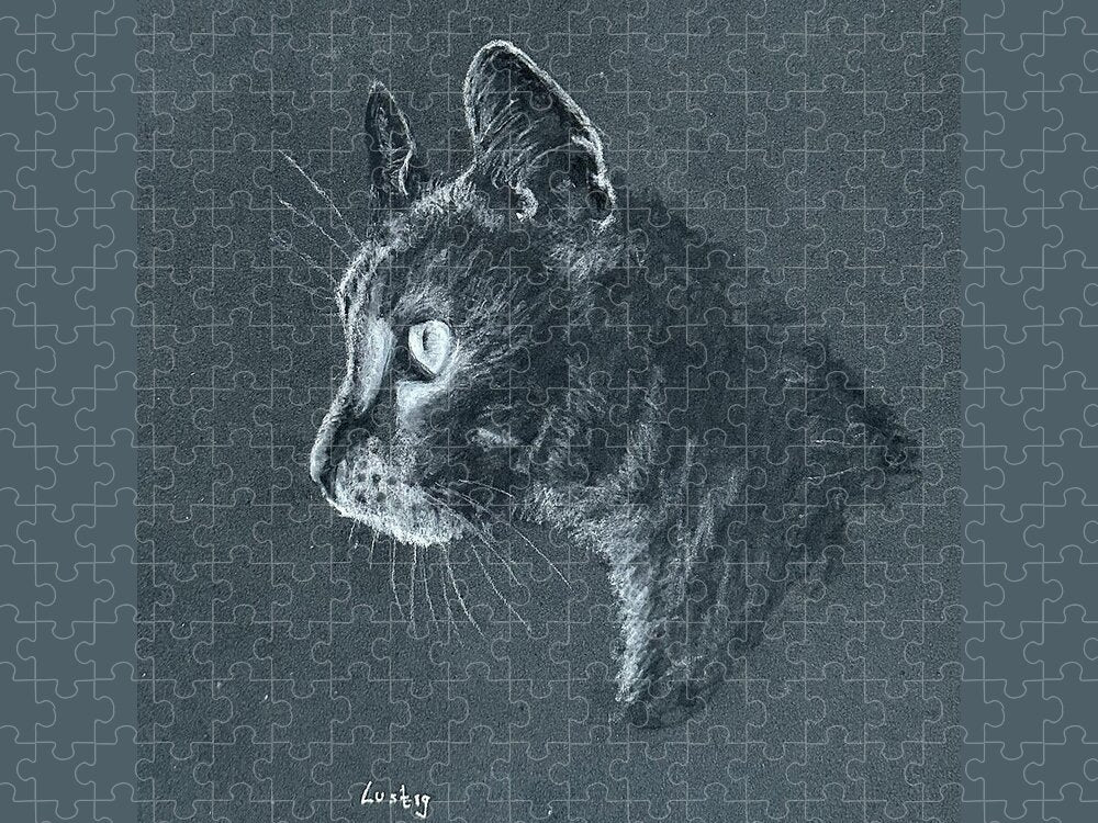 Ash - Puzzle