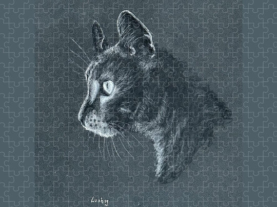Ash - Puzzle