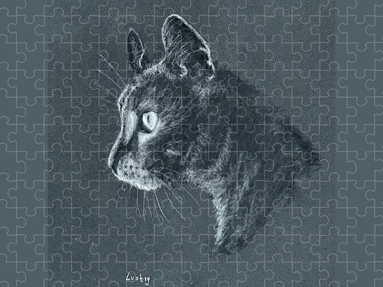 Ash - Puzzle