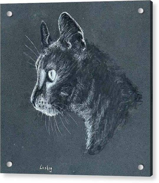 Ash - Acrylic Print