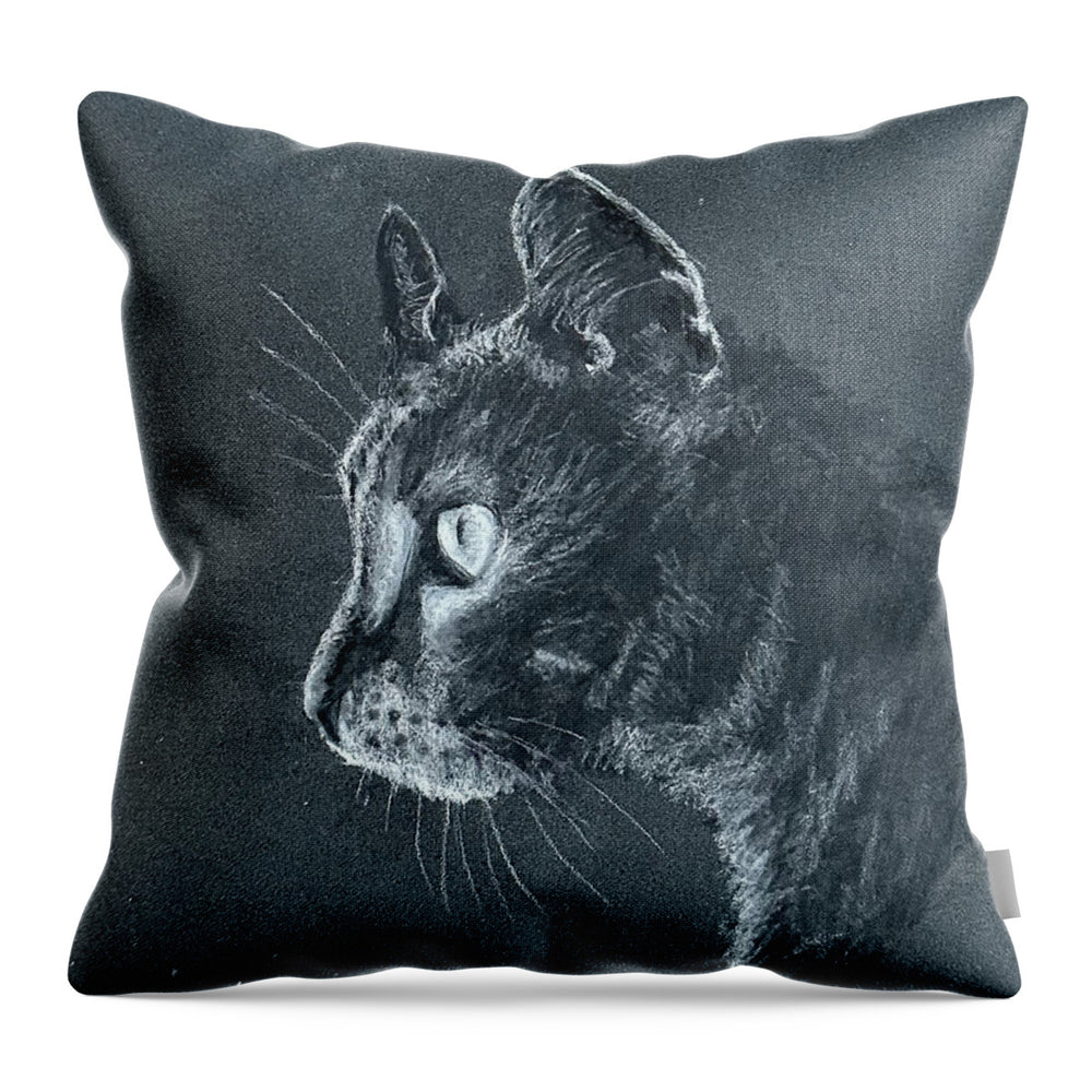 Ash - Throw Pillow