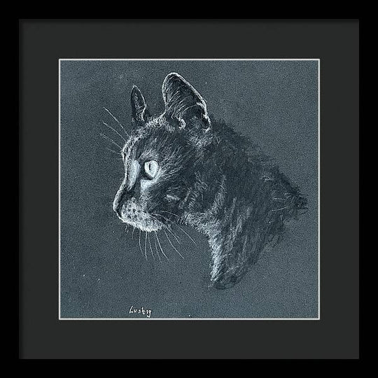 Ash - Framed Print