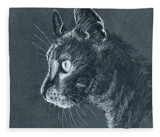 Ash - Blanket