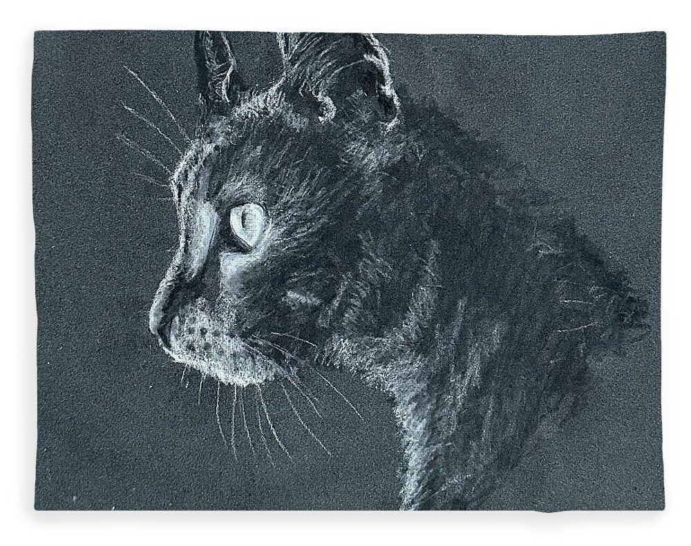 Ash - Blanket