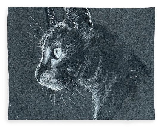 Ash - Blanket