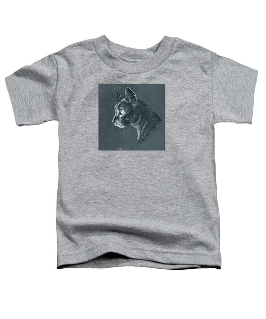 Ash - Toddler T-Shirt