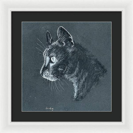 Ash - Framed Print