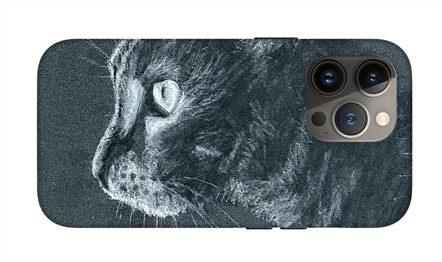 Ash - Phone Case