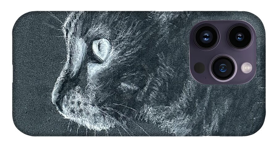 Ash - Phone Case