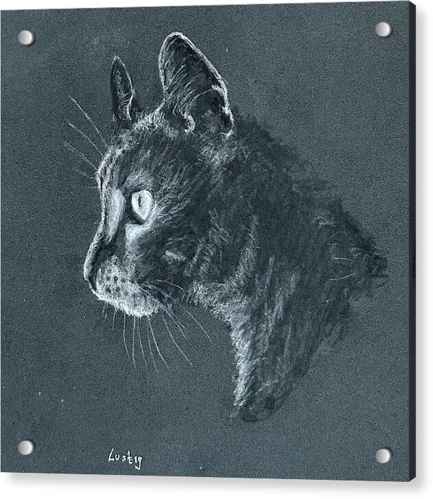 Ash - Acrylic Print