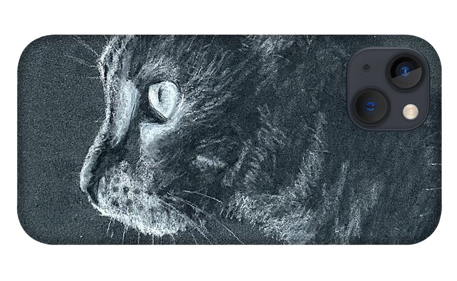 Ash - Phone Case