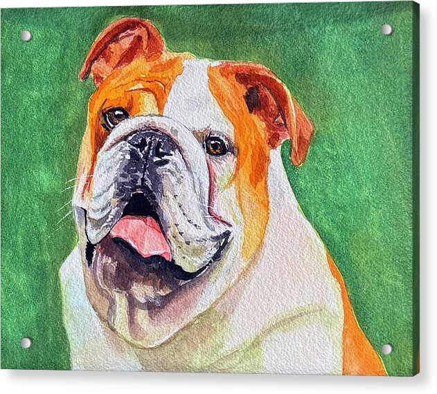 Barttle - Acrylic Print