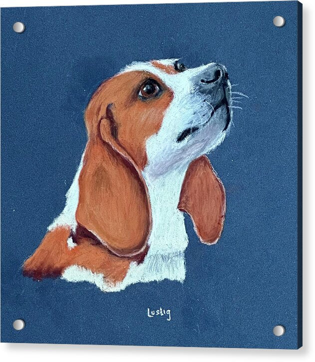 Bentley - Acrylic Print