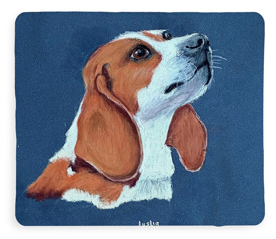 Bentley - Blanket