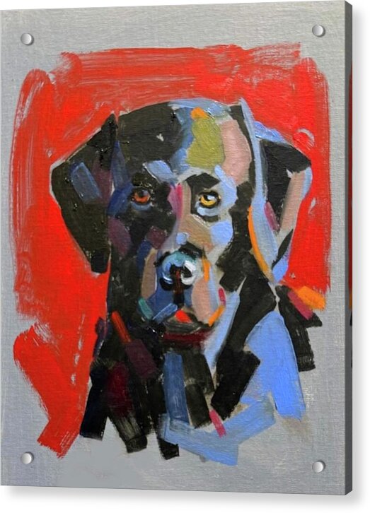 Blackie - Acrylic Print