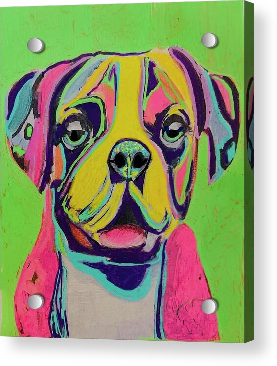 Buster - Acrylic Print