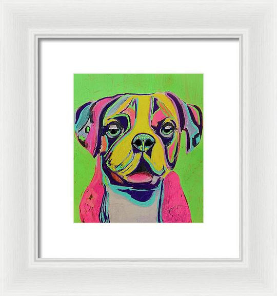Buster - Framed Print