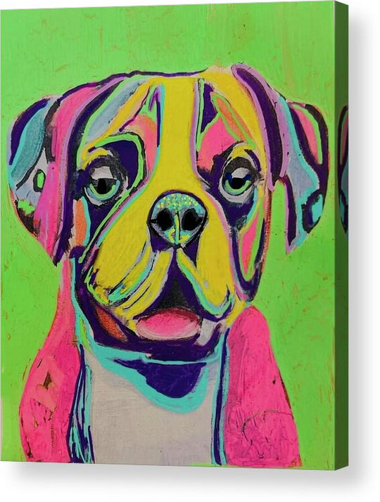 Buster - Acrylic Print