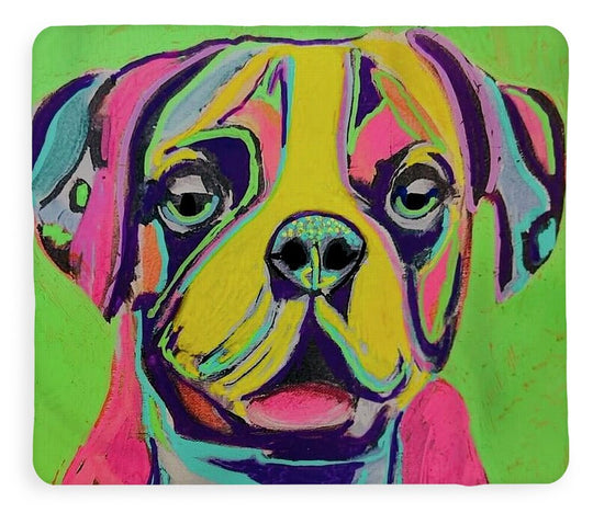 Buster - Blanket